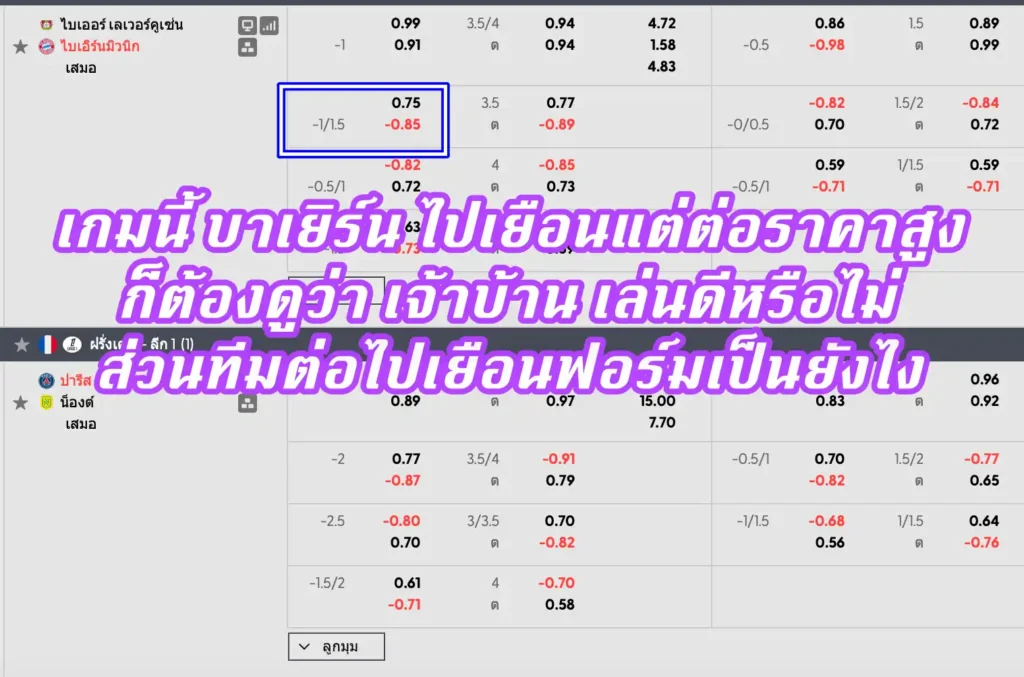 ราคาบอล ราคาบอล 1.25 (ลูกควบลูกครึ่ง)