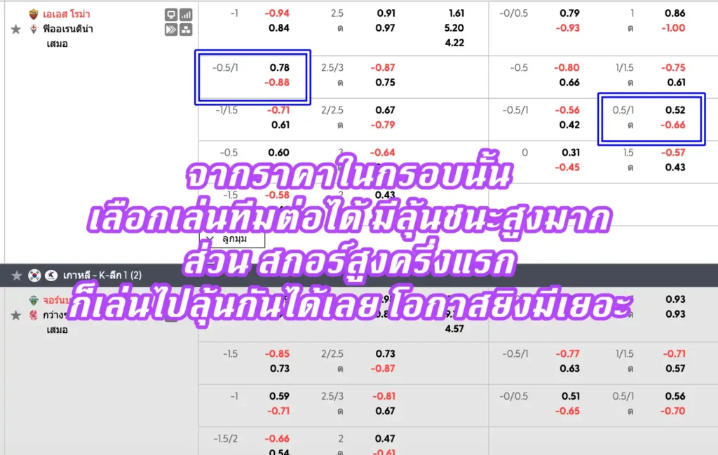 ราคาบอล 0.5/1 คืออะไร