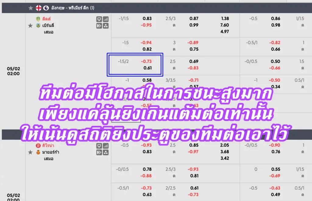 ราคาบอล ลูกครึ่งควบสอง คือ